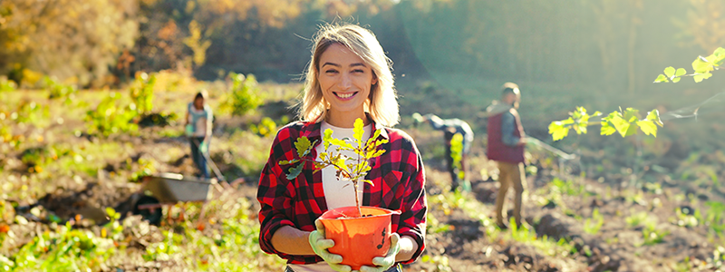 Wolontariusze sadzą drzewa w lesie