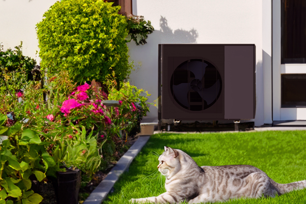 Kot leżący na trawie przed pompą ciepła